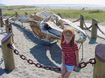 Katelyn with skeleton of Gray Whale